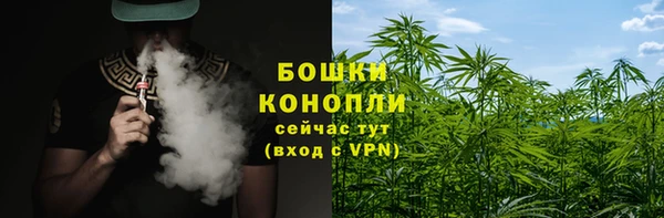 гидра Новозыбков