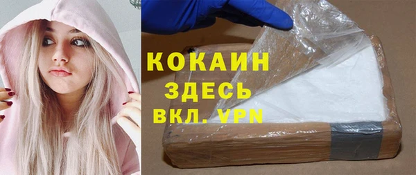 гидра Новозыбков