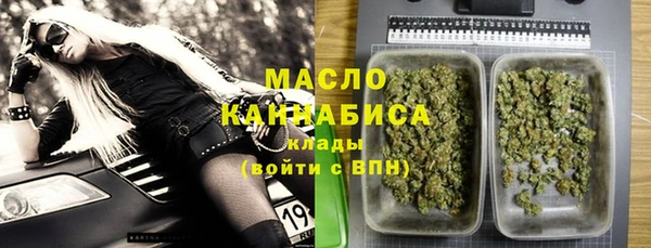 гидра Новозыбков
