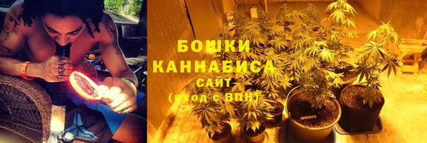 гидра Новозыбков