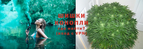 гидра Новозыбков